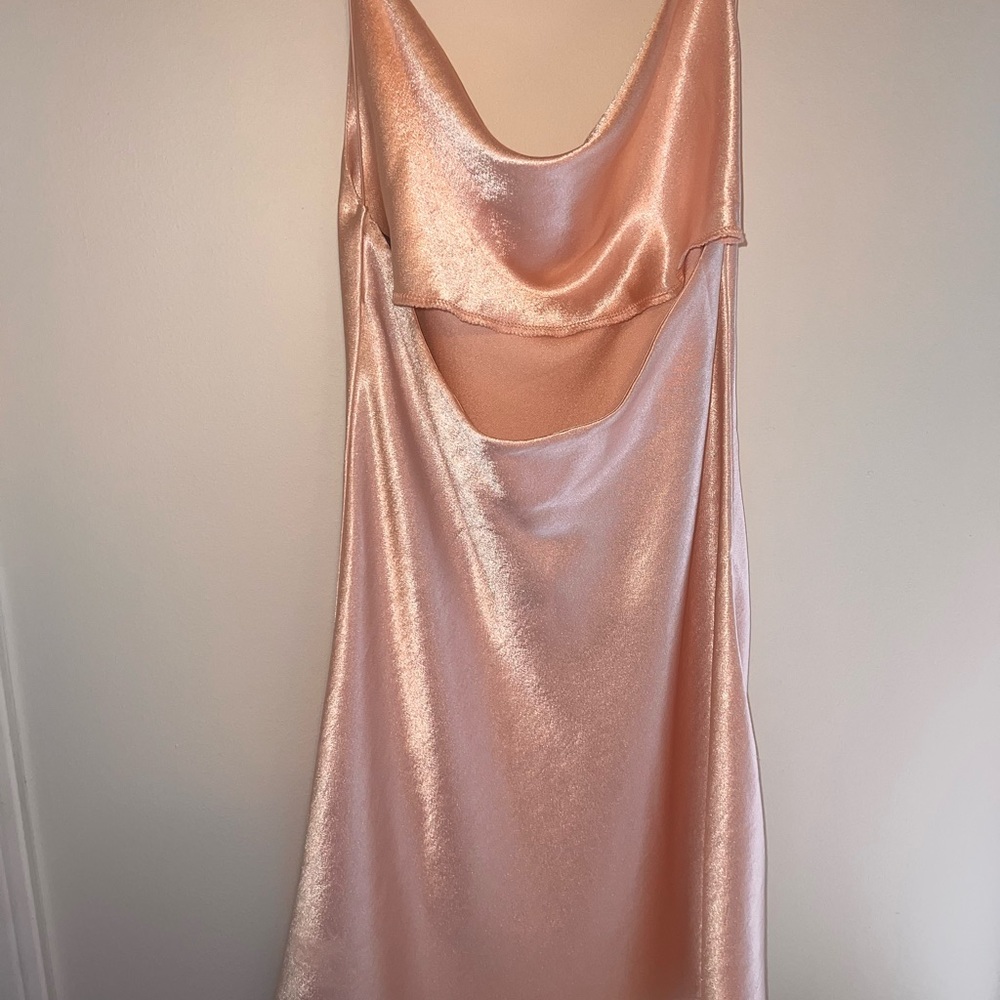 Dry goods, light and pastel pink silk dress, size small, tag still on - Picture 2 of 4